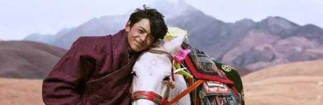 我为丁真扛大旗 Cover Image