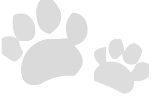 FurryWorld