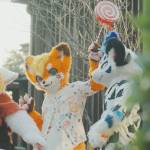合肥理工学院Furry社团 Profile Picture