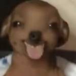FFF Profile Picture