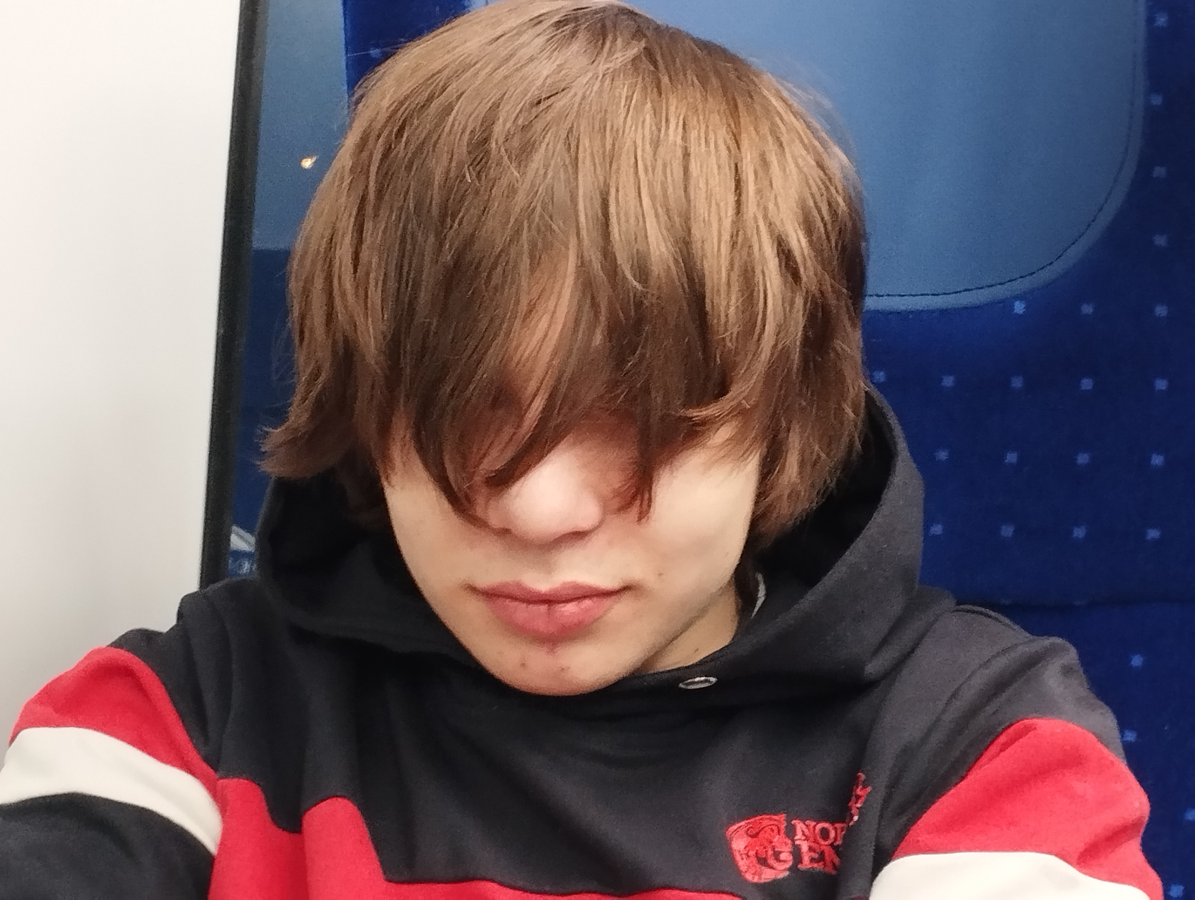 Sudofaggot Profile Picture