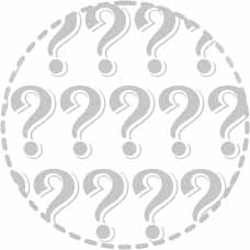 lllkma Profile Picture